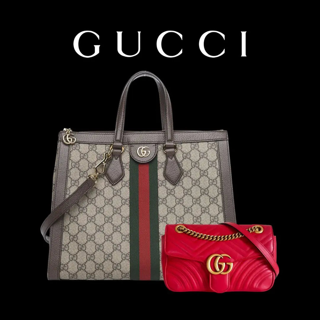 Bagaholic Gucci Authentication LVBagaholic