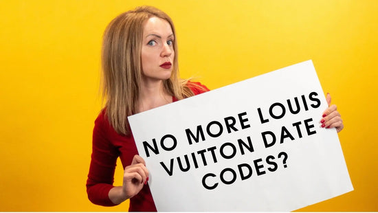What Are Louis Vuitton Microchips?