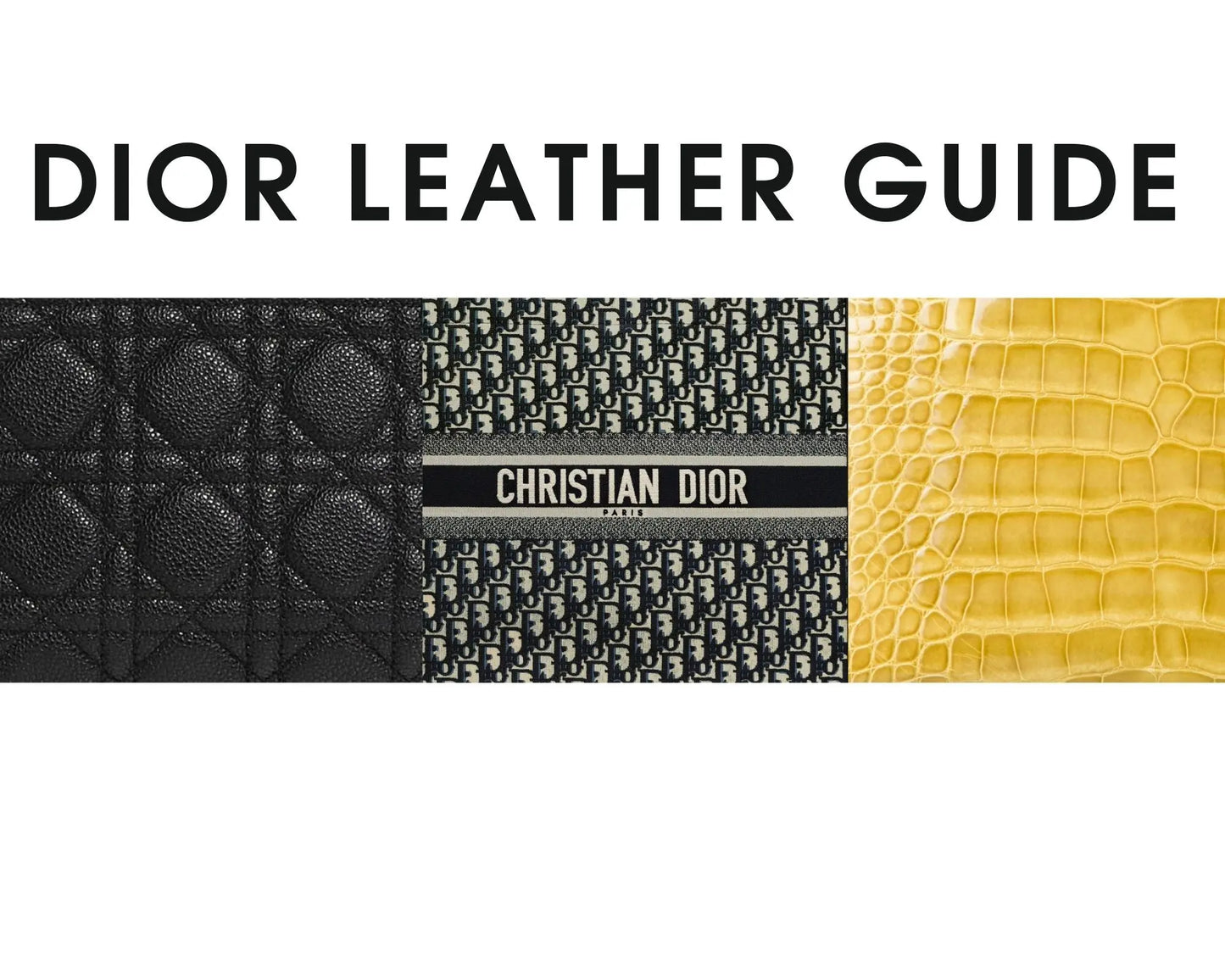 Christian Dior Maintenance Guide Leather Goods Unfilled Open Dior