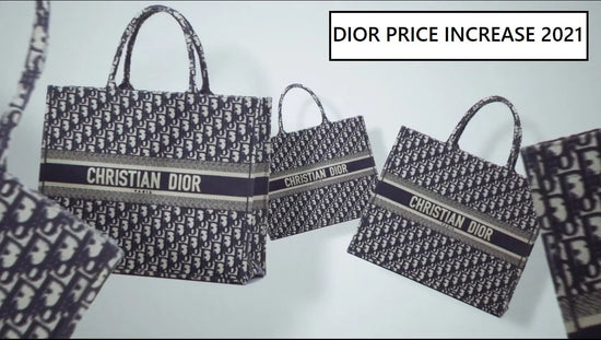 How Much Is Dior Bag In Nigeria  Solaroid Energy