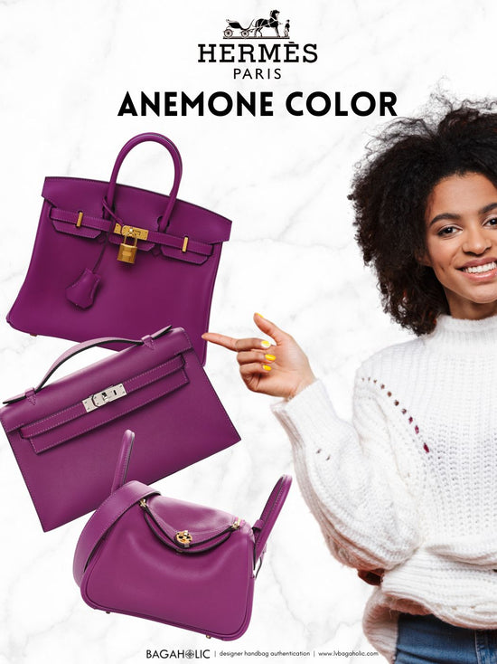 hermes anemone color