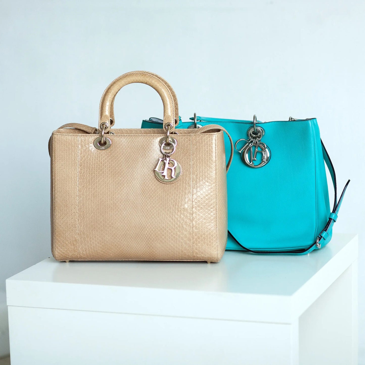 Dior Authenticated Speedy Handbag