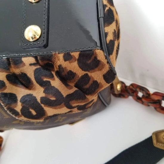 Louis Vuitton Monogram Leopard Stephen Sprouse Adele – Luxmary