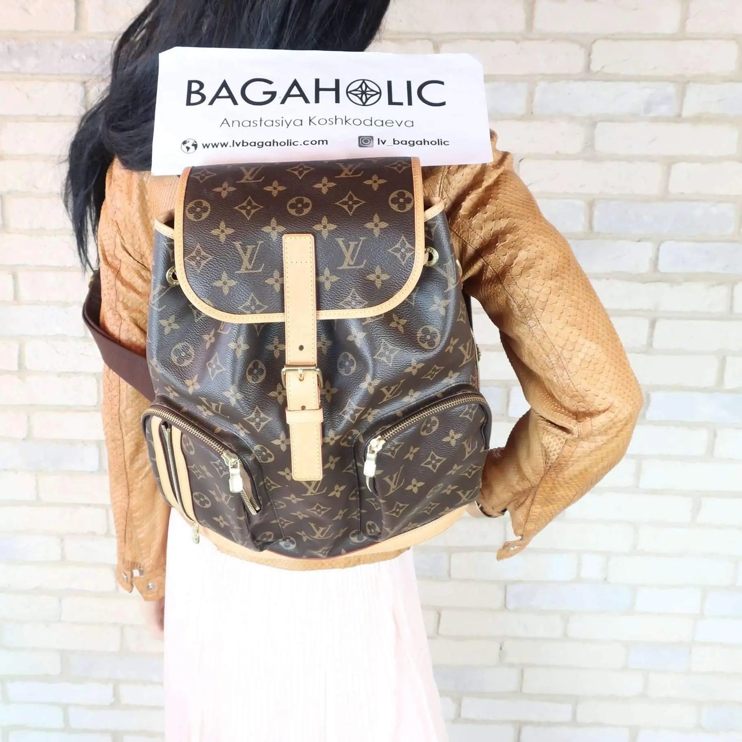 Louis Vuitton Monogram Canvas Bosphore Backpack