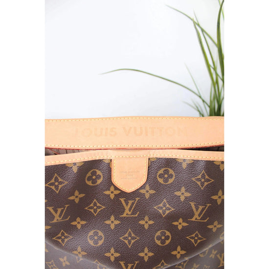 Louis Vuitton Louis Vuitton Delightful PM Monogram Bag LVBagaholic