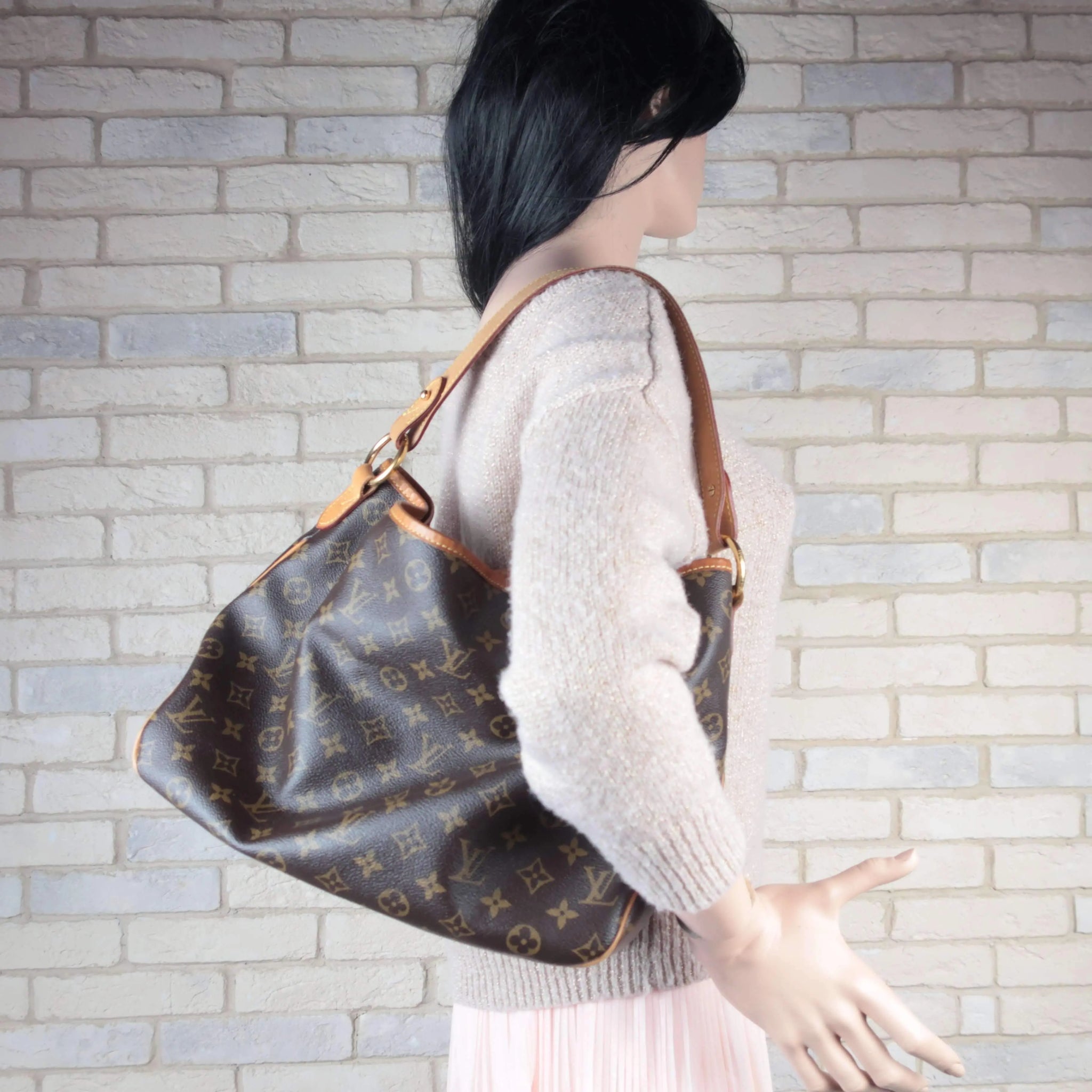 Louis Vuitton Delightful PM old style Bagaholic