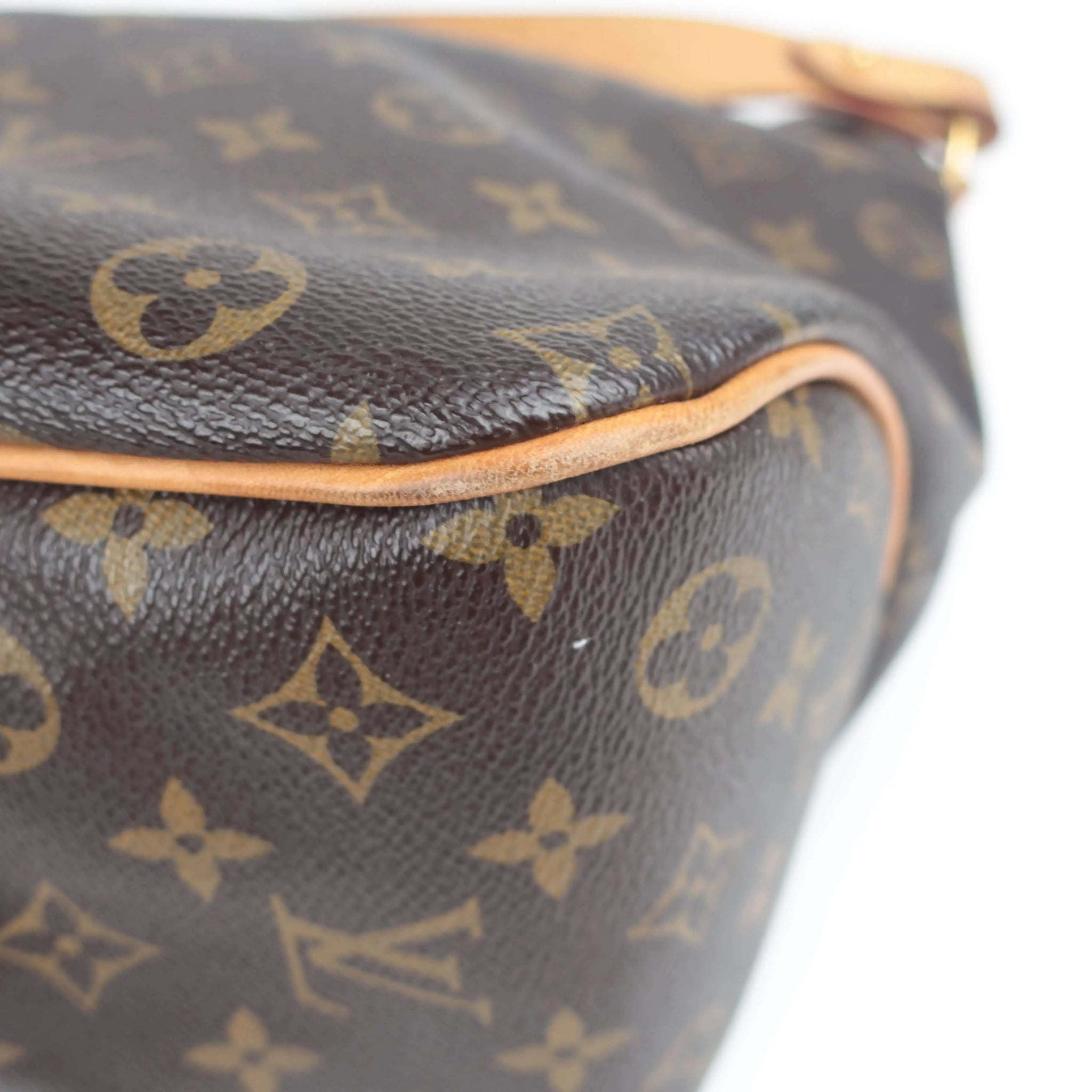 Louis Vuitton Delightful PM old style Bagaholic