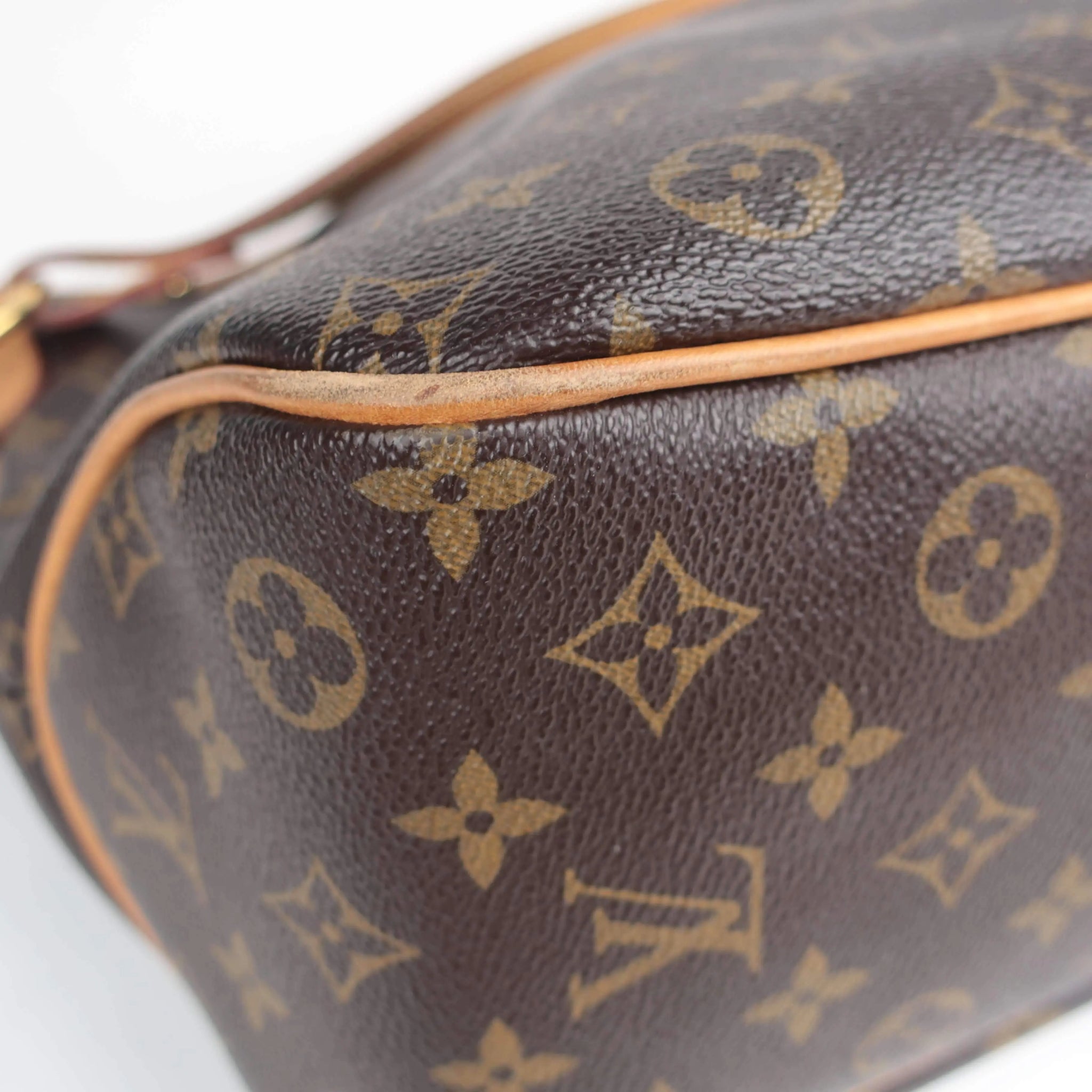 Louis Vuitton Delightful PM old style Bagaholic