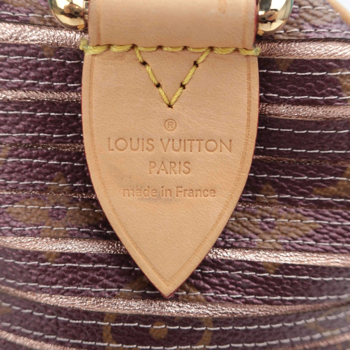 Louis Vuitton Louis Vuitton Eden Speedy Peche LVBagaholic