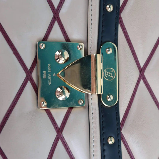 Louis Vuitton Louis Vuitton Malletage Pochette Flap Limited Edition bag LVBagaholic