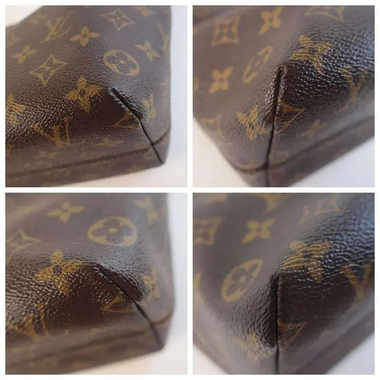 Louis Vuitton Monogram Raspail PM Bag – Bagaholic
