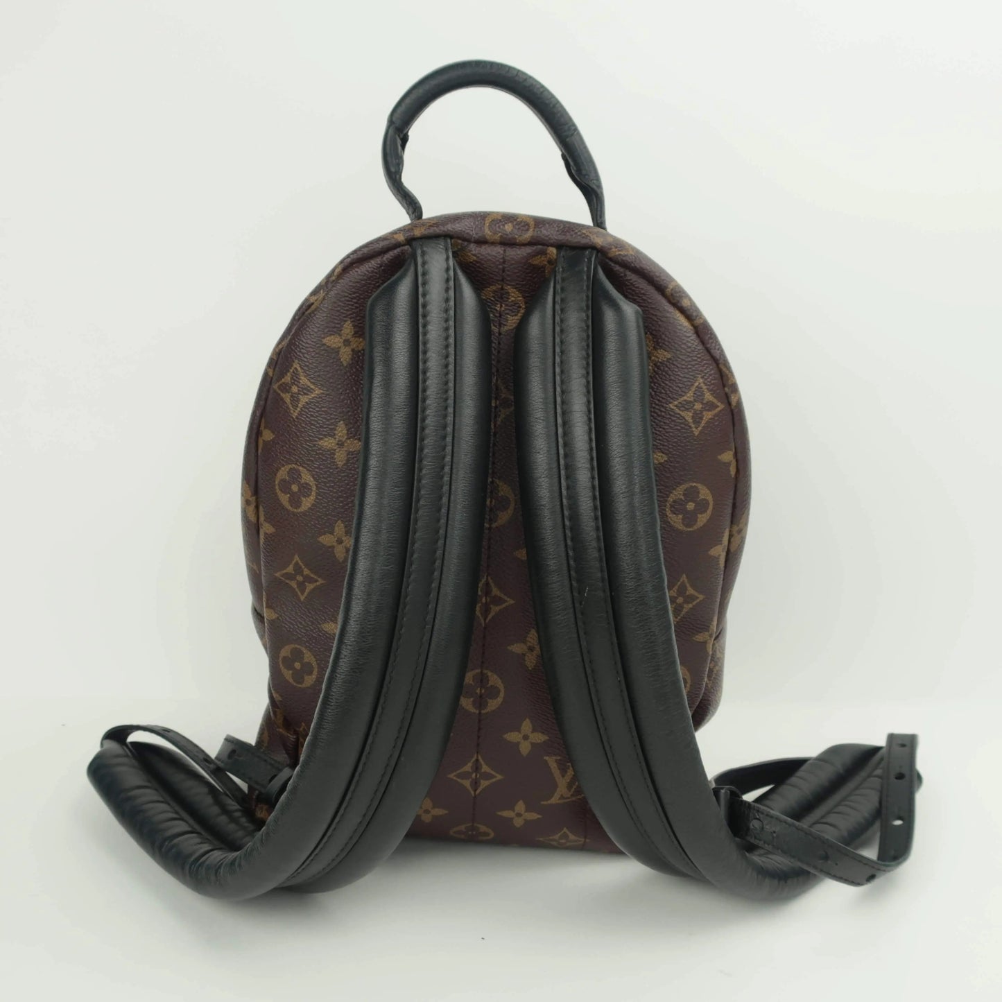 Load image into Gallery viewer, Louis Vuitton Louis Vuitton Palm Springs Reverse PM Backpack LVBagaholic
