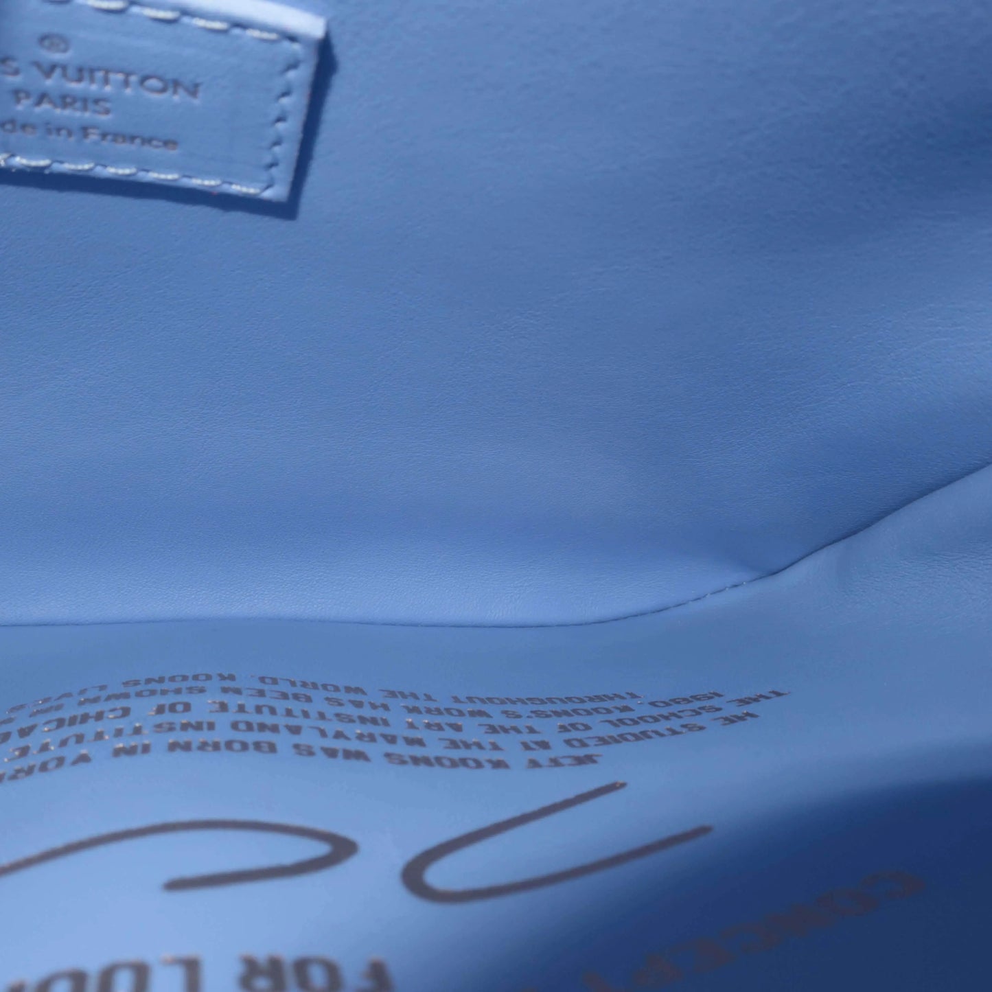 Louis Vuitton x Jeff Koons Monet Pochette Métis Bag - The Cool Dealer