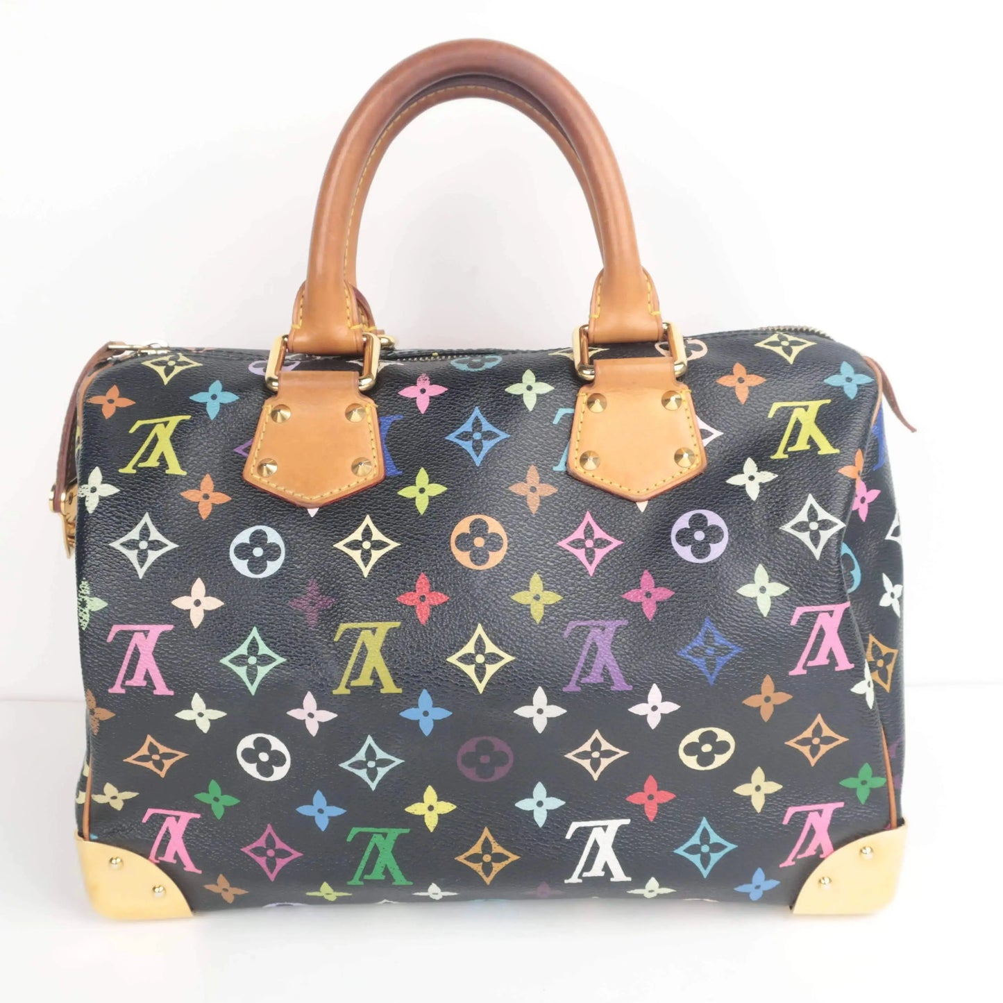 Louis Vuitton Louis Vuitton Speedy 30 Multicolor Bag LVBagaholic