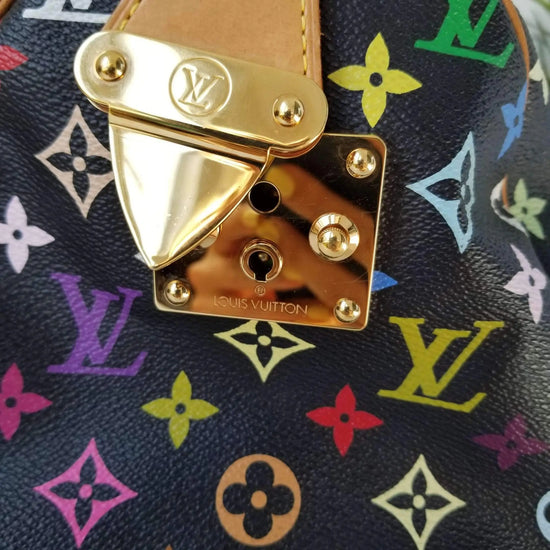 Louis Vuitton Louis Vuitton Speedy Multicolor 2 Monogram Bag LVBagaholic