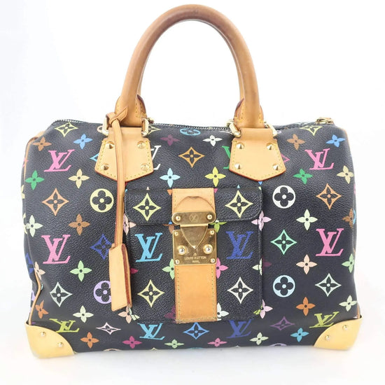 Louis Vuitton Louis Vuitton Speedy Multicolor Monogram Bag LVBagaholic