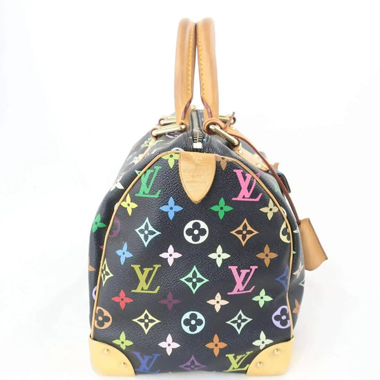 Louis Vuitton Louis Vuitton Speedy Multicolor Monogram Bag LVBagaholic