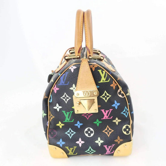 Louis Vuitton Louis Vuitton Speedy Multicolor Monogram Bag LVBagaholic