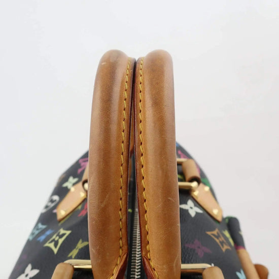 Louis Vuitton Louis Vuitton Speedy Multicolor Monogram Bag LVBagaholic