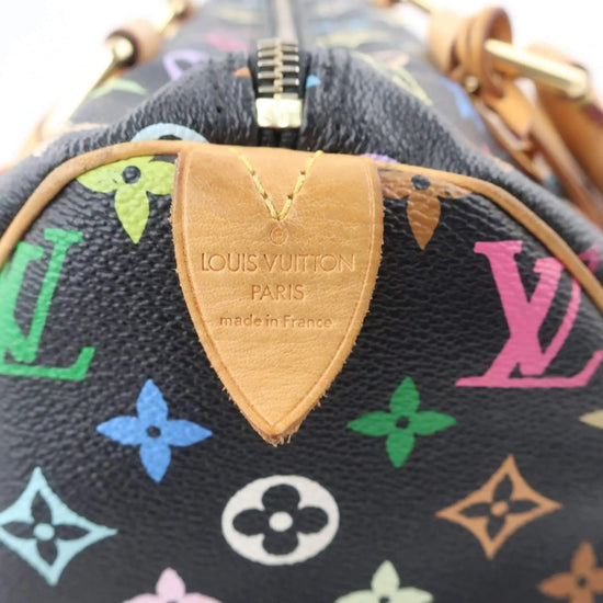 Louis Vuitton Louis Vuitton Speedy Multicolor Monogram Bag LVBagaholic