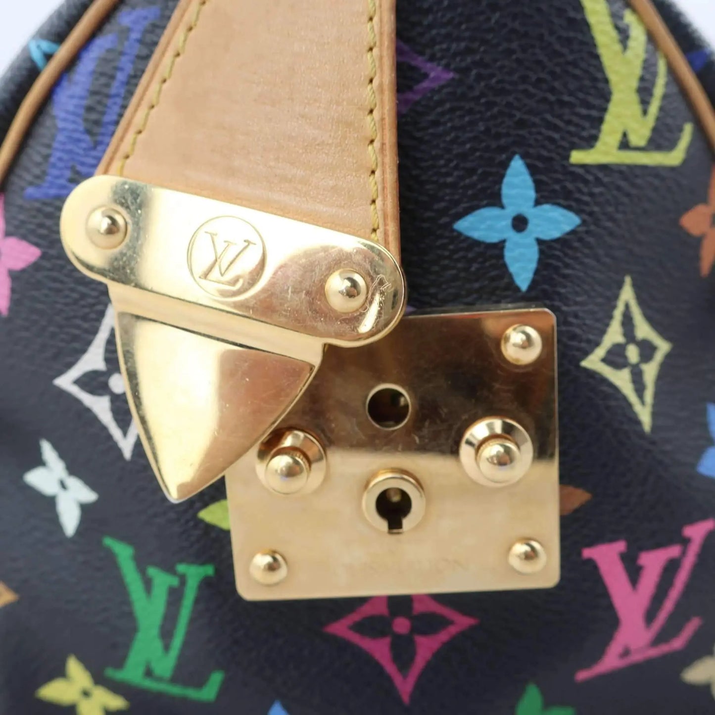 Louis Vuitton Louis Vuitton Speedy Multicolor Monogram Bag LVBagaholic