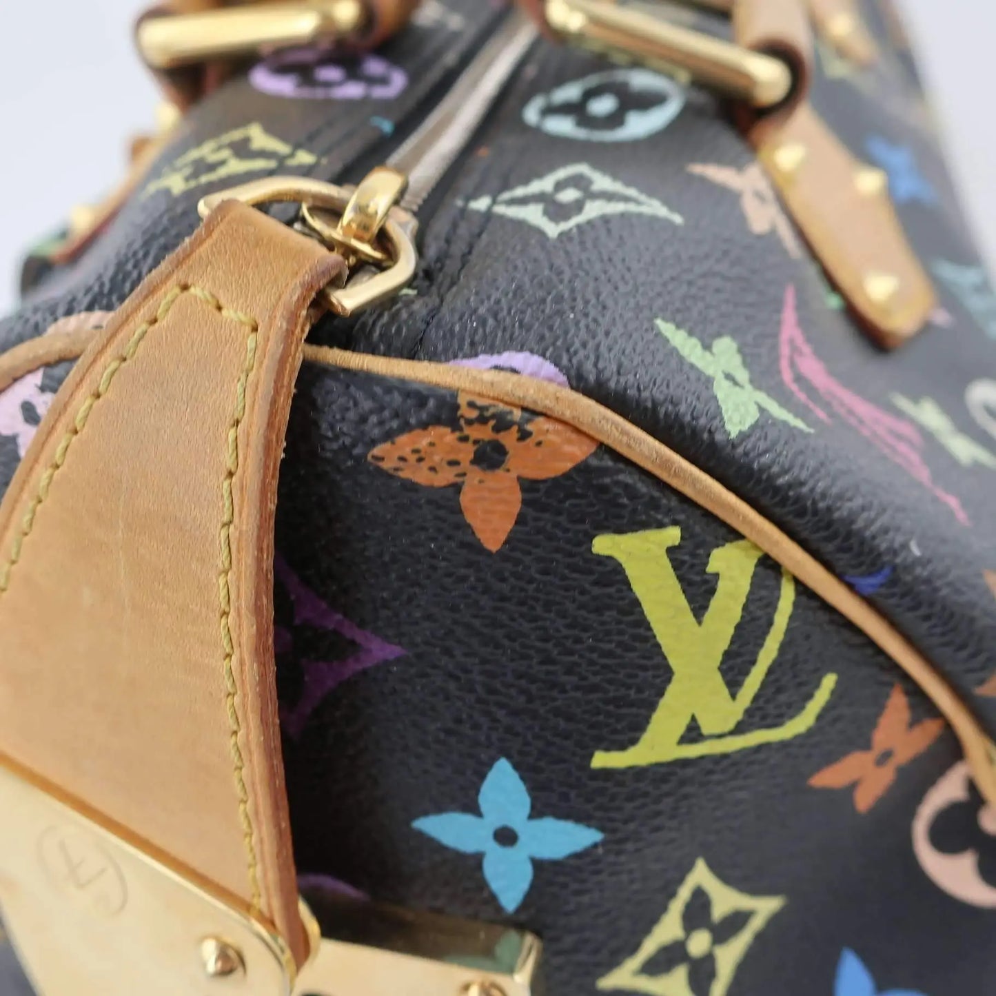 Louis Vuitton Louis Vuitton Speedy Multicolor Monogram Bag LVBagaholic